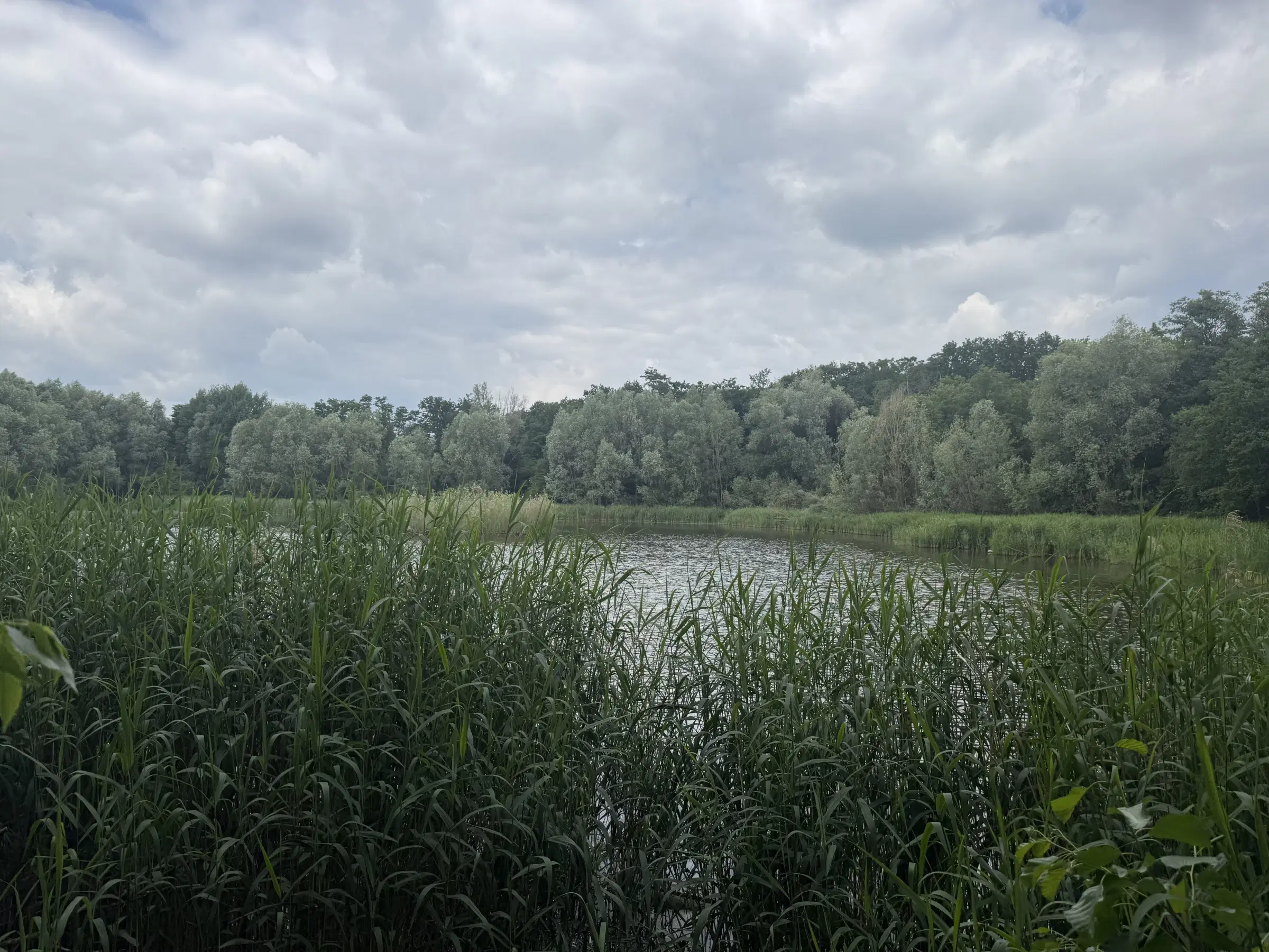 54.019 m² natuur- en recreatieterrein met recreatiemeer Ringsee in Königs Wusterhausen, nabij Berlijn – Duitsland
