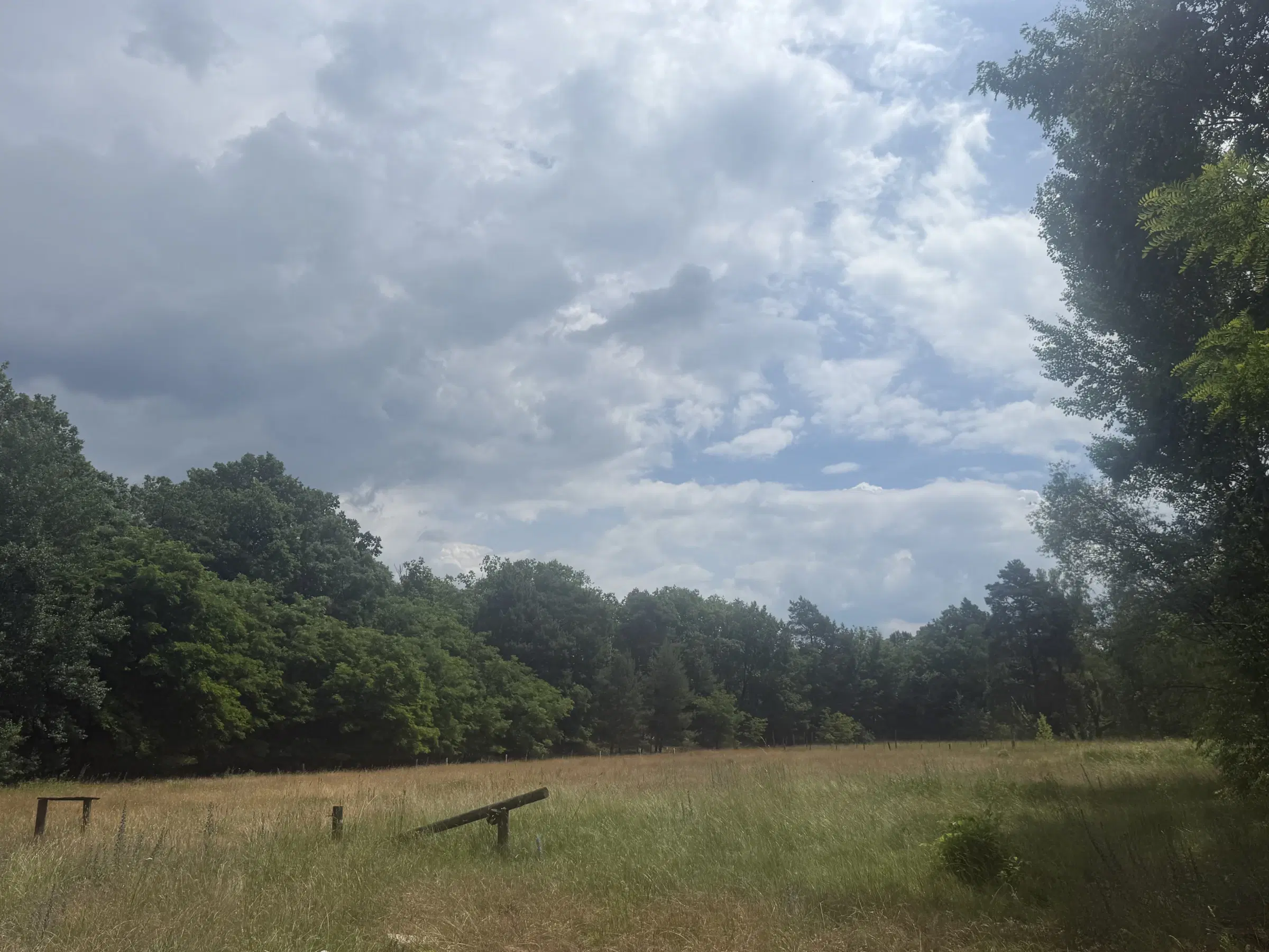 54.019 m² natuur- en recreatieterrein met recreatiemeer Ringsee in Königs Wusterhausen, nabij Berlijn – Duitsland