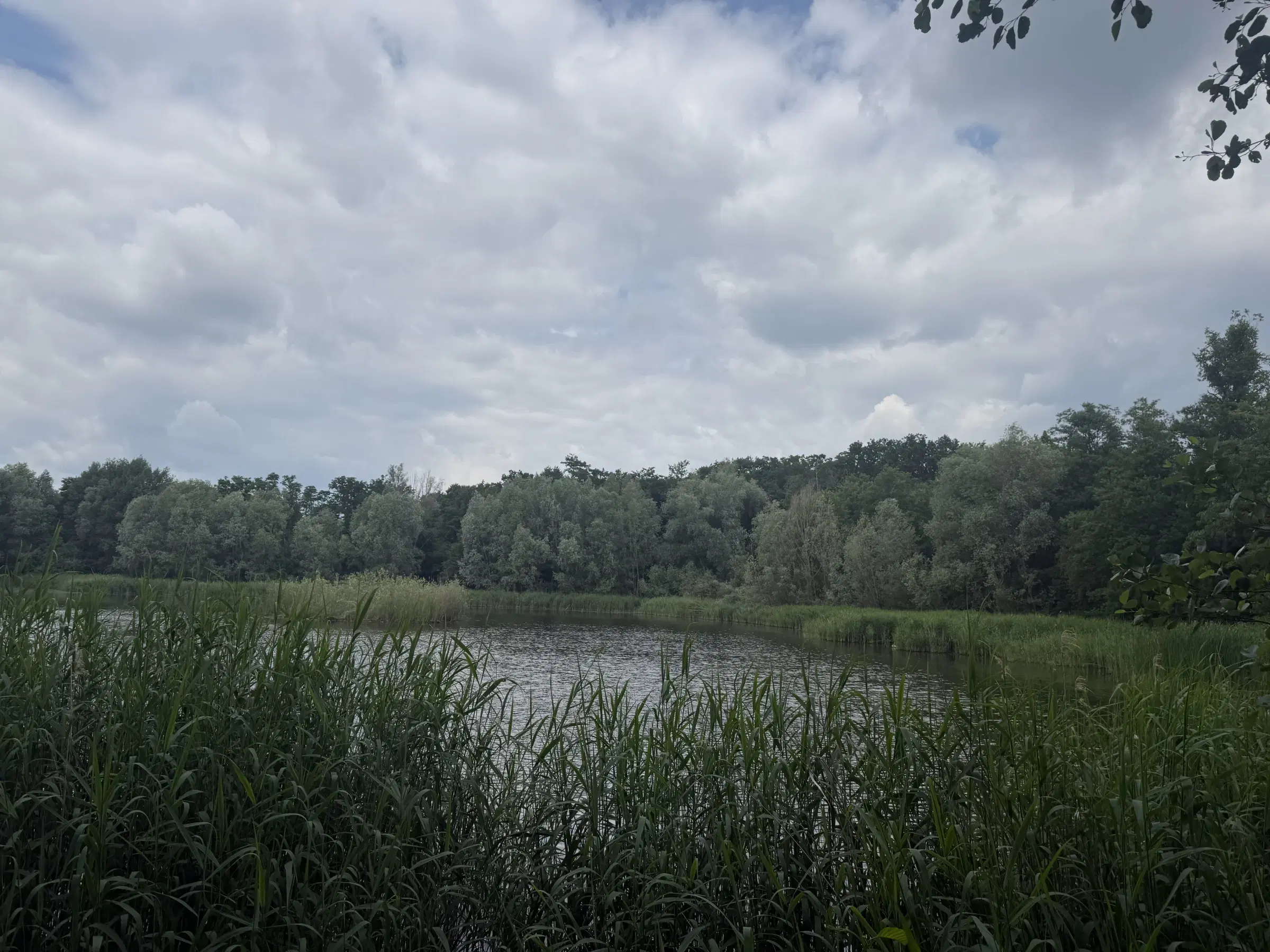 54.019 m² natuur- en recreatieterrein met recreatiemeer Ringsee in Königs Wusterhausen, nabij Berlijn – Duitsland