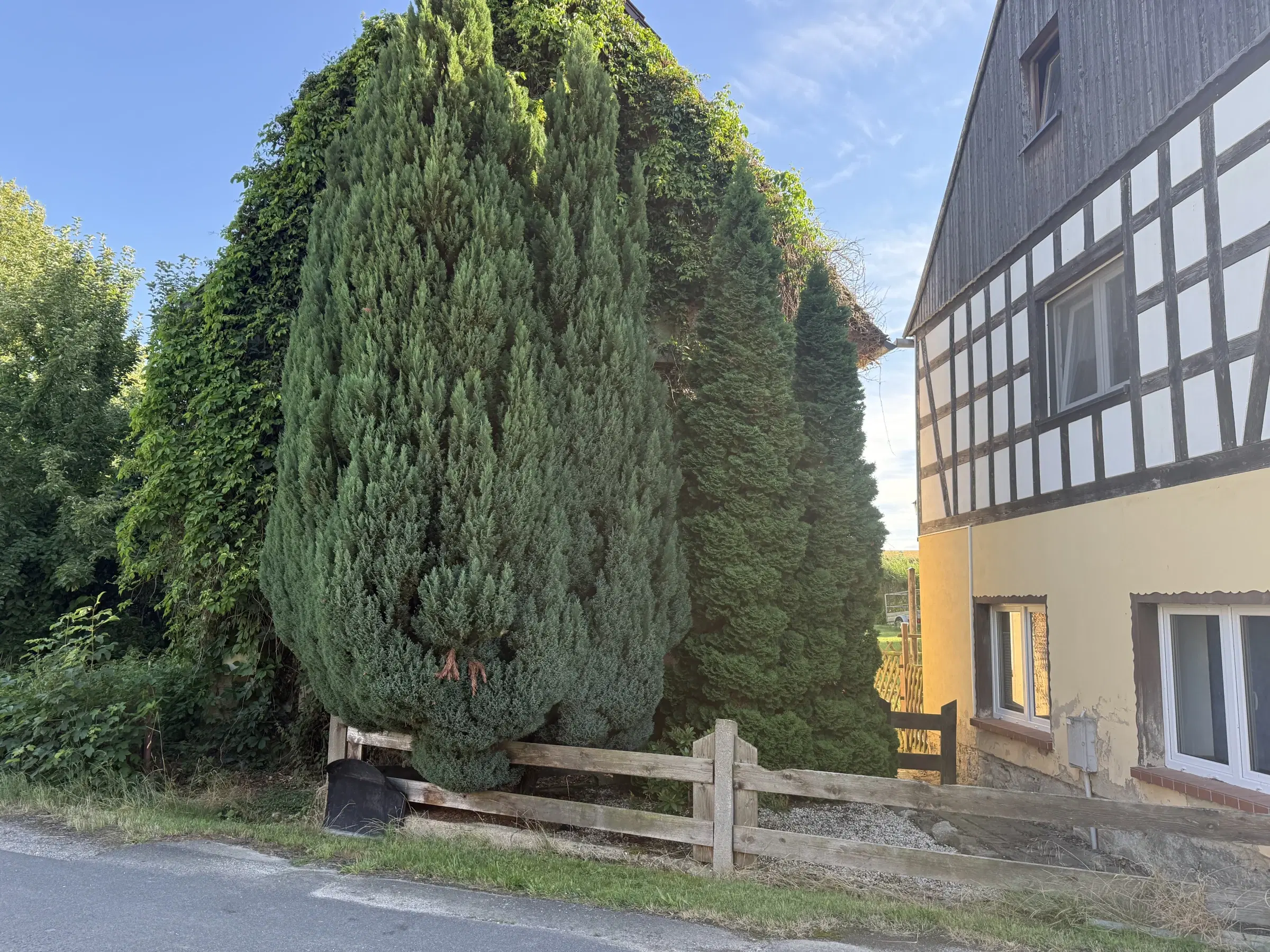 Traditioneel vakwerkhuis op perceel van 660 m² in Starkenburg, Altenburg - Duitsland