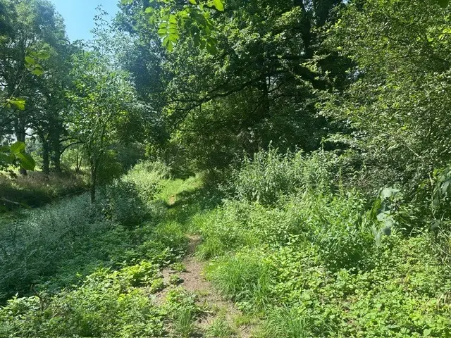 4.216 m² groen eigendomsperceel aan het water gelegen nabij Skassa, Großenhain - Duitsland