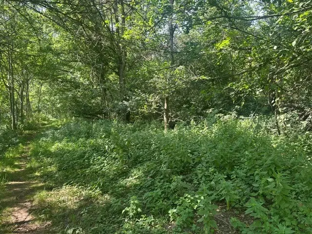 4.216 m² groen eigendomsperceel aan het water gelegen nabij Skassa, Großenhain - Duitsland