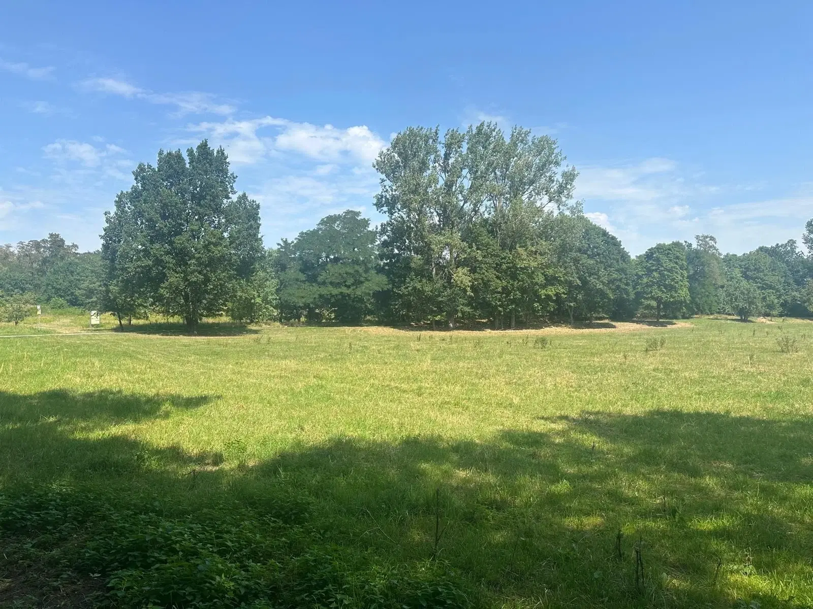 4.216 m² groen eigendomsperceel aan het water gelegen nabij Skassa, Großenhain - Duitsland