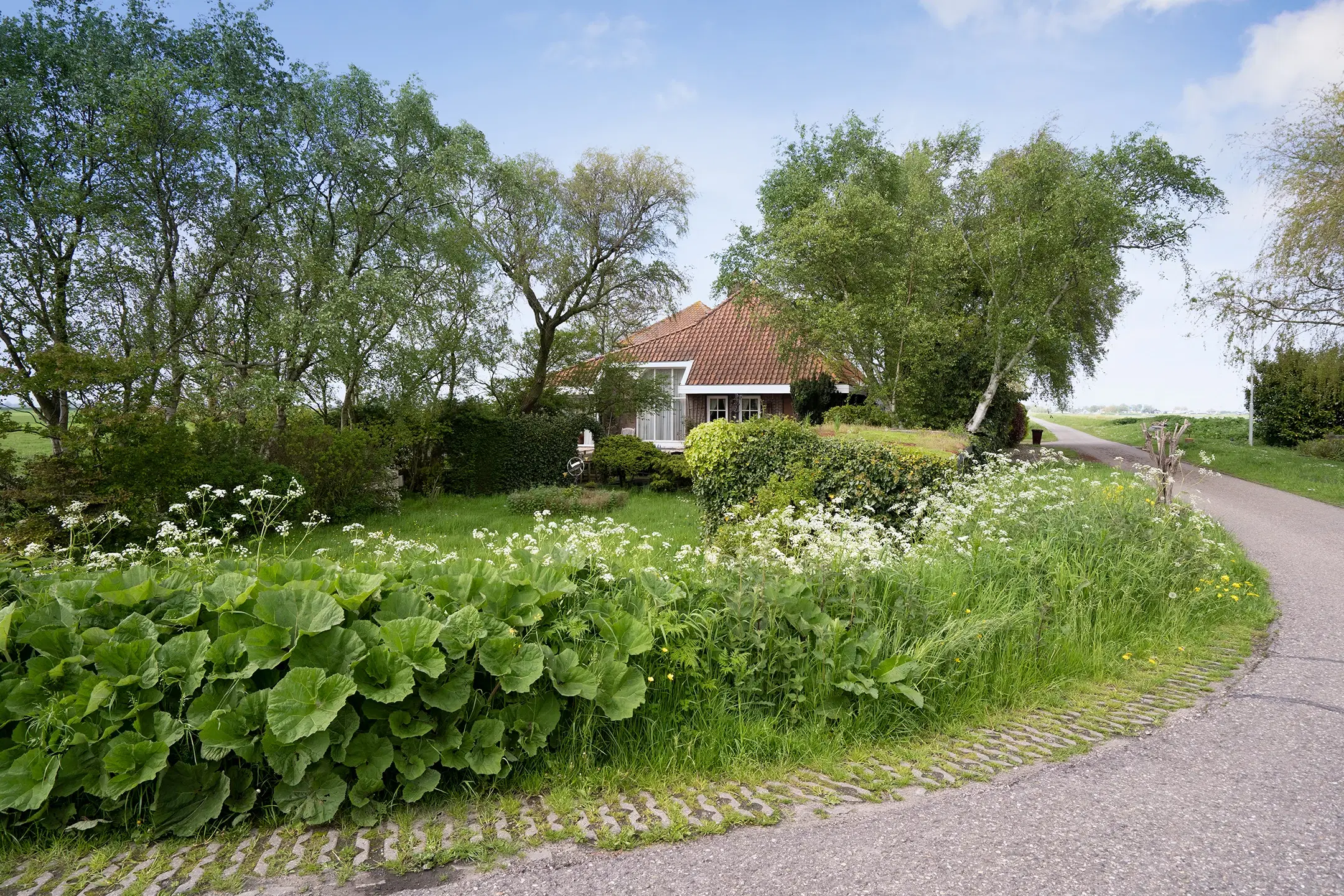 Stierop 1, De Woude