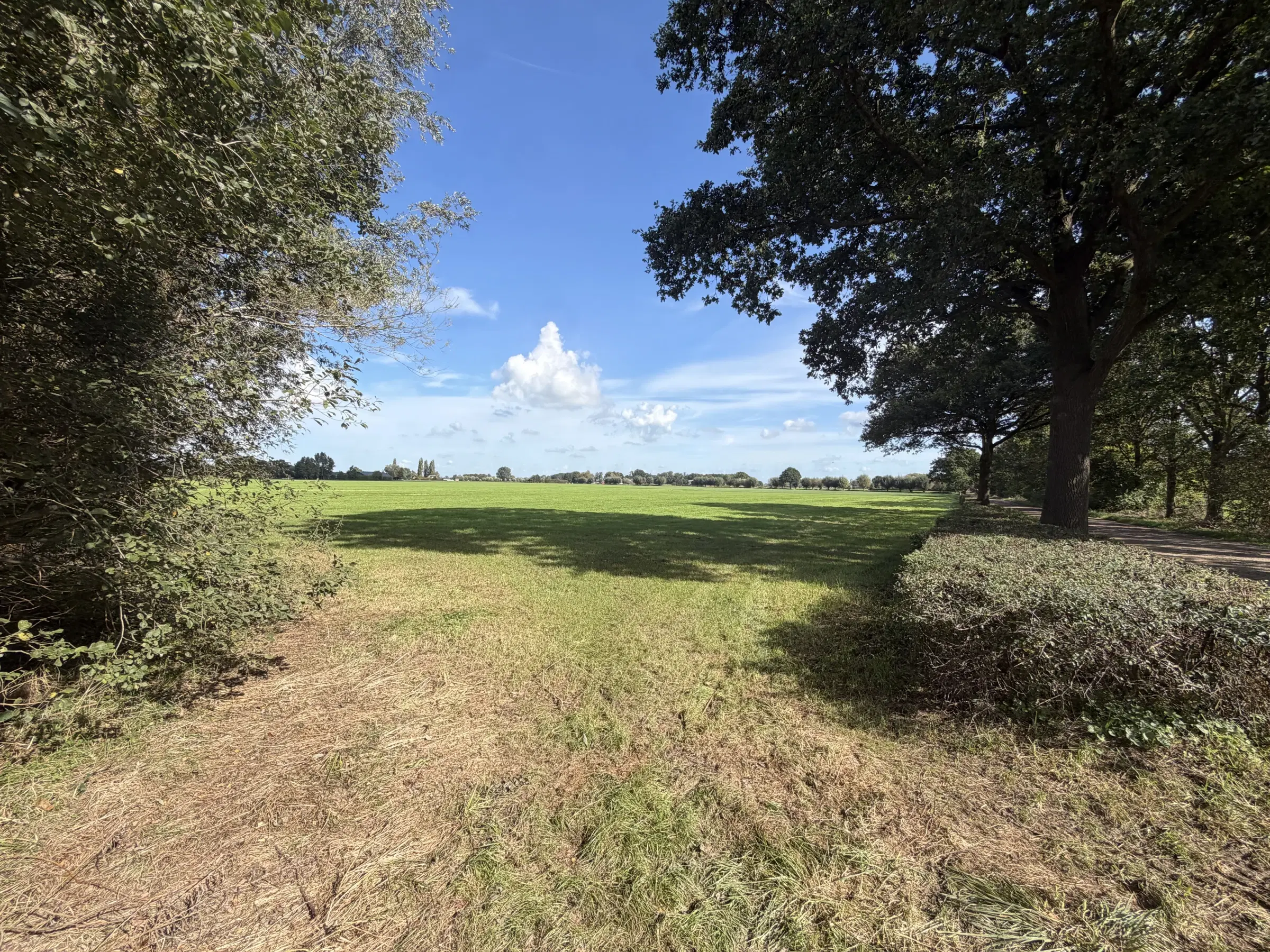 INSCHRIJVING | Perceel grond aan de Hoevenallee, hoek Kraaigraafstraat te Terwolde