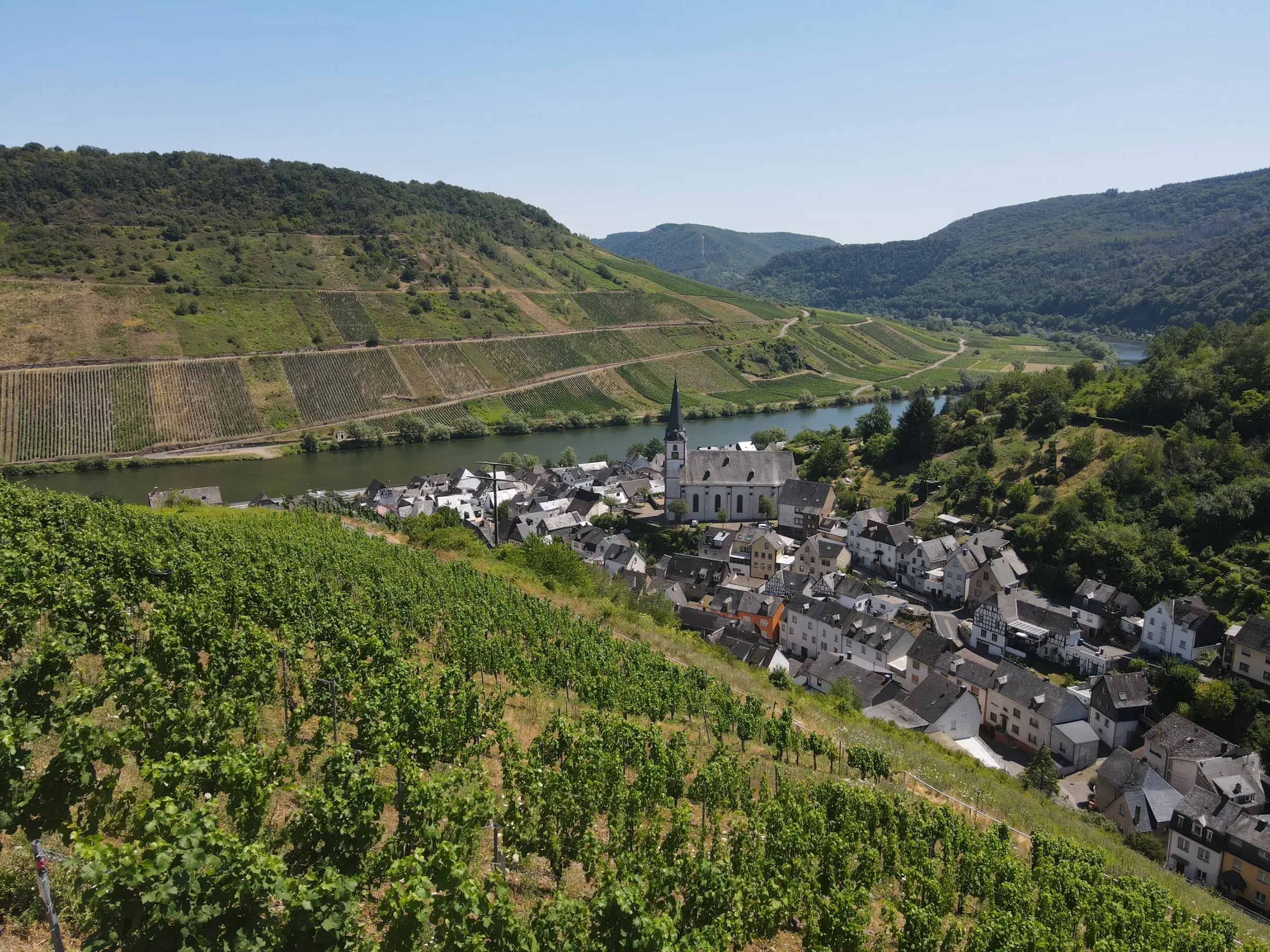 Wijngaard met Riesling van 803 m² perceel nabij Briedel, Cochem - Duitsland