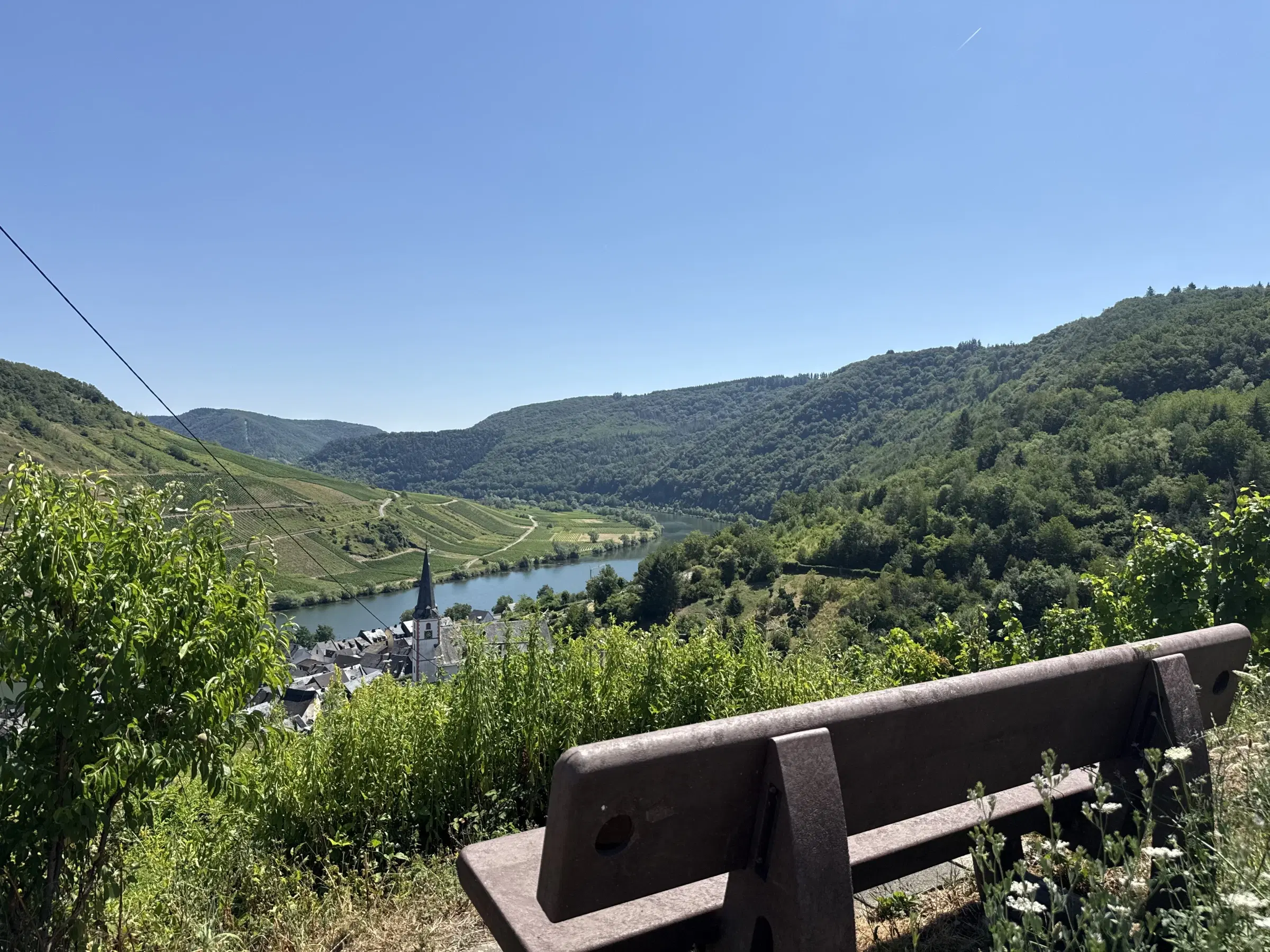 Wijngaard met Riesling van 803 m² perceel nabij Briedel, Cochem - Duitsland