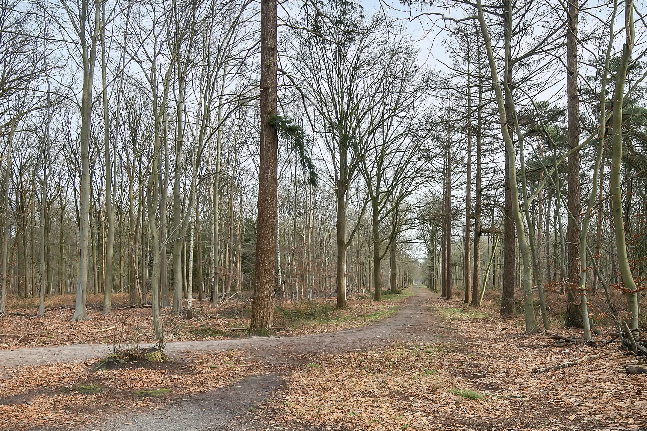 Etten-Leur, Moerdijkse Postbaan 8