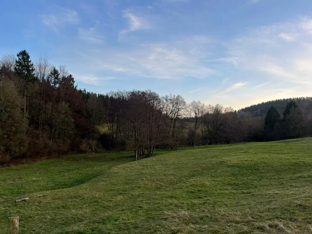 Perceel grond van 3.320 m2 met jachthut in Friedrichroda - Duitsland