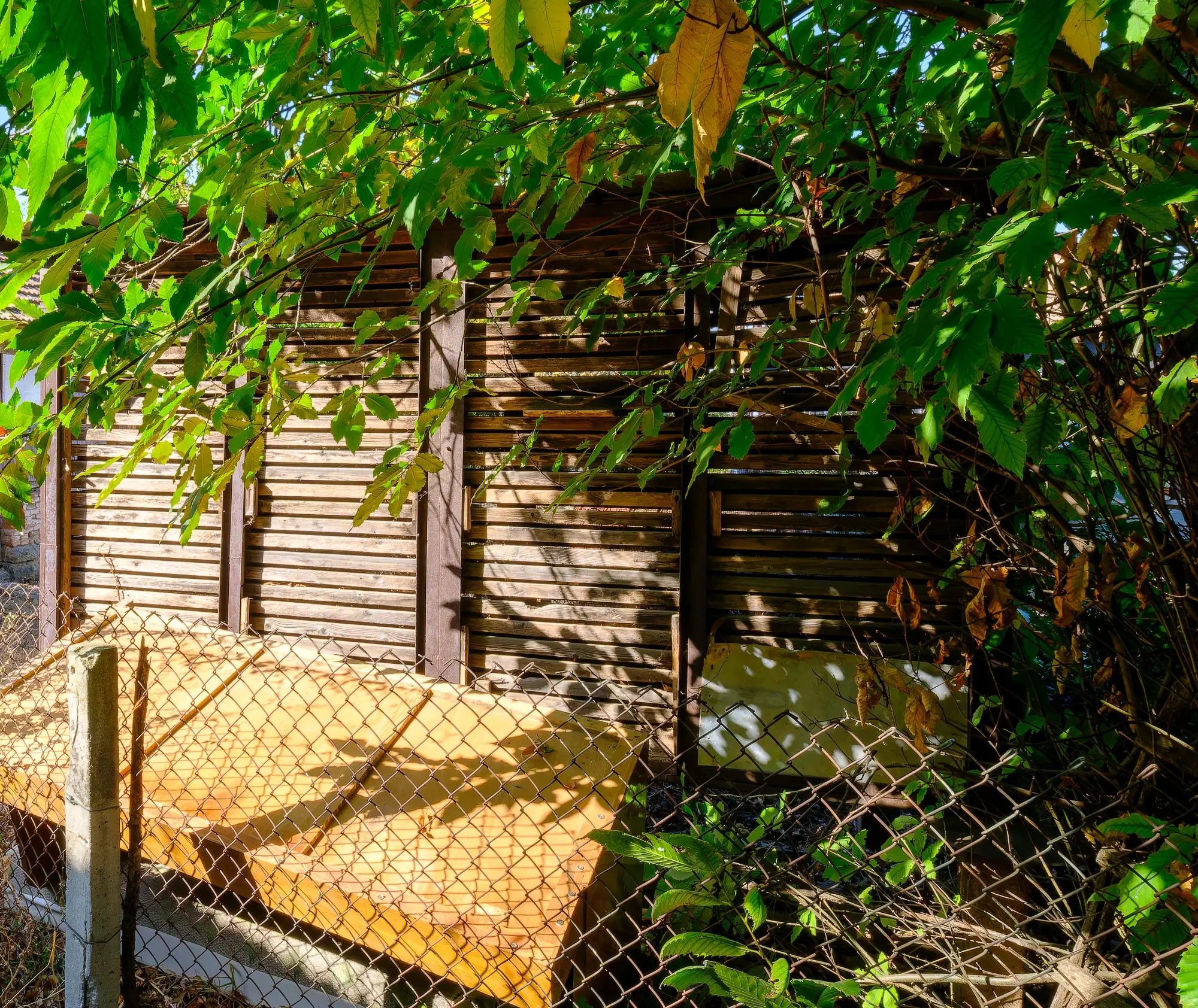 Woning met 2 verdiepingen, bijgebouwen en 2.500 m2 grond in Ostrov-upon-Danube - Bulgarije